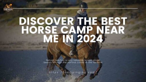 Horse Camp Near Me