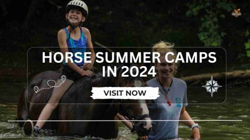 Horse Summer Camps