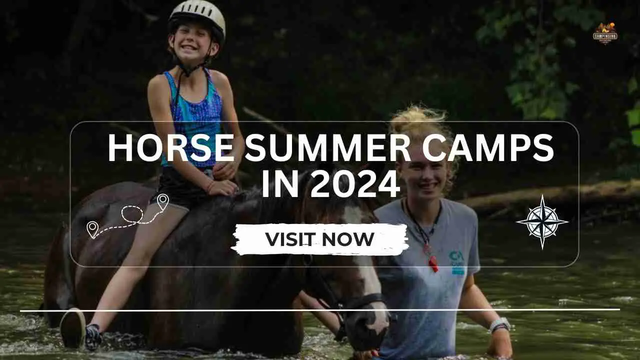 Horse Summer Camps