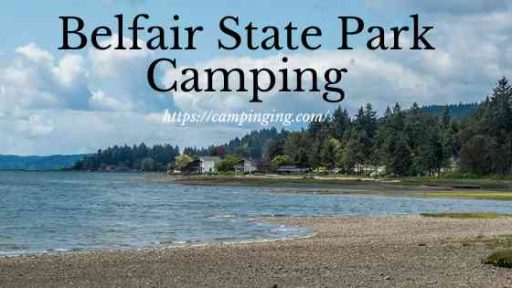 Belfair State Park Camping