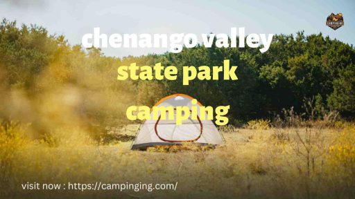 chenango valley state park camping