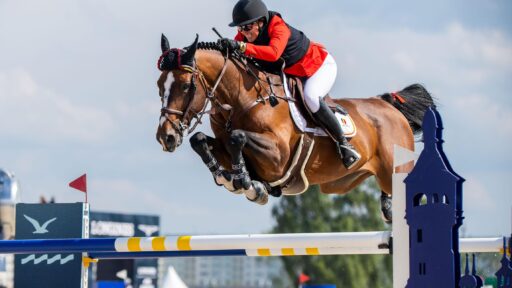 Best Equestrian Camp at Wellington Riding Summer Camp in Hampshire