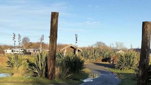 Discover History and Culture at Tuhaitara Coastal Park Summer Camp in Canterbury