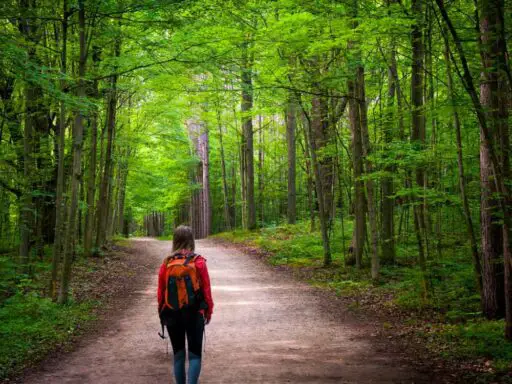 Explore the Outdoors at Sanborn Western Camps in Colorado