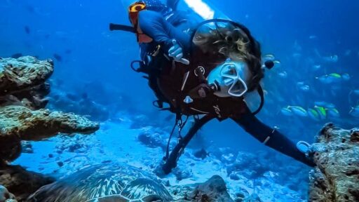 Marine Adventure and Exploration at Camp Bay of Islands