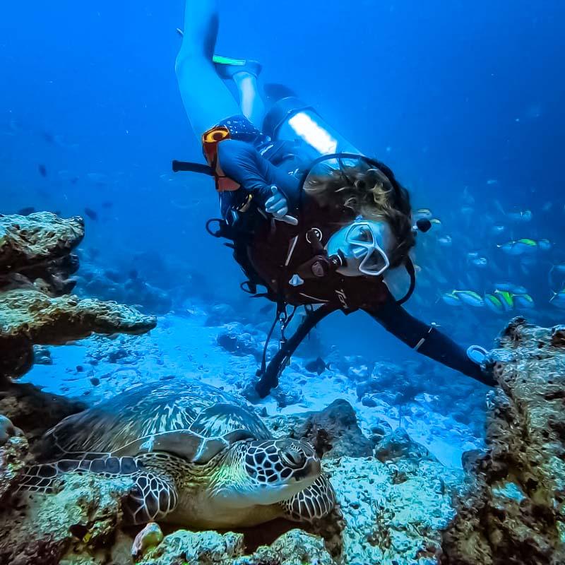 Marine Adventure and Exploration at Camp Bay of Islands