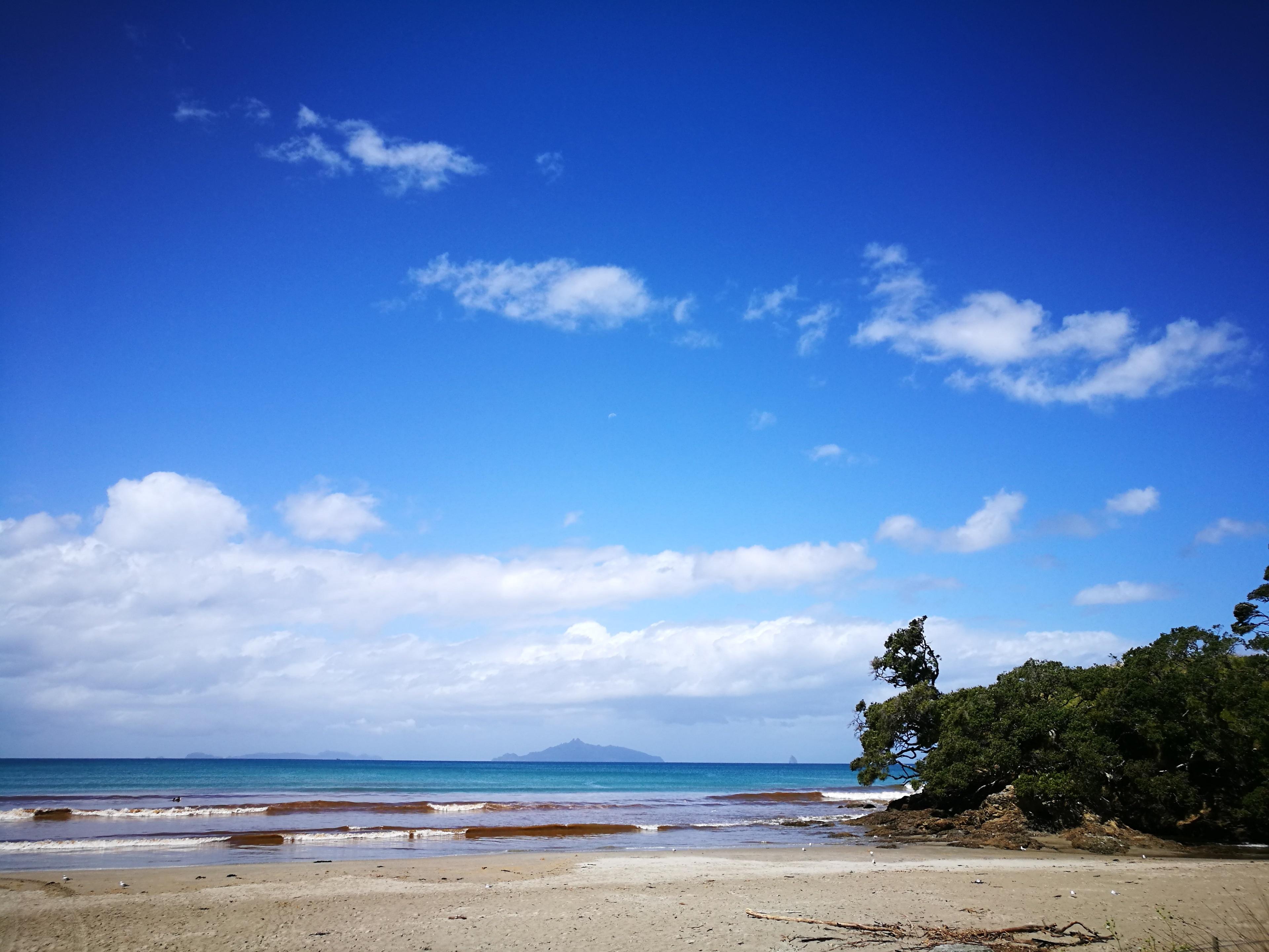 - ‍Discover the Pristine Beaches of Waipu Cove