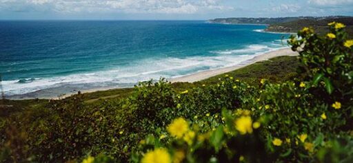 Explore the Coastal Environment at Camp Waipu Cove in Northland