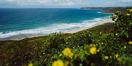 Explore the Coastal Environment at Camp Waipu Cove in Northland