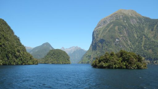 Explore Nature and Leadership at Te Anau Lodge Summer Camp in Fiordland