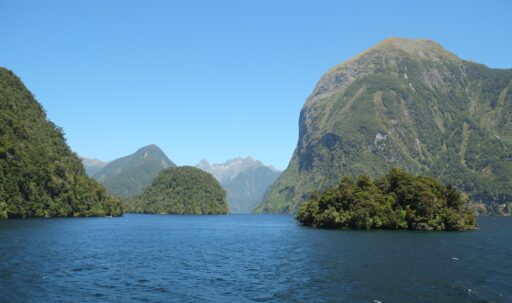 Explore Nature and Leadership at Te Anau Lodge Summer Camp in Fiordland