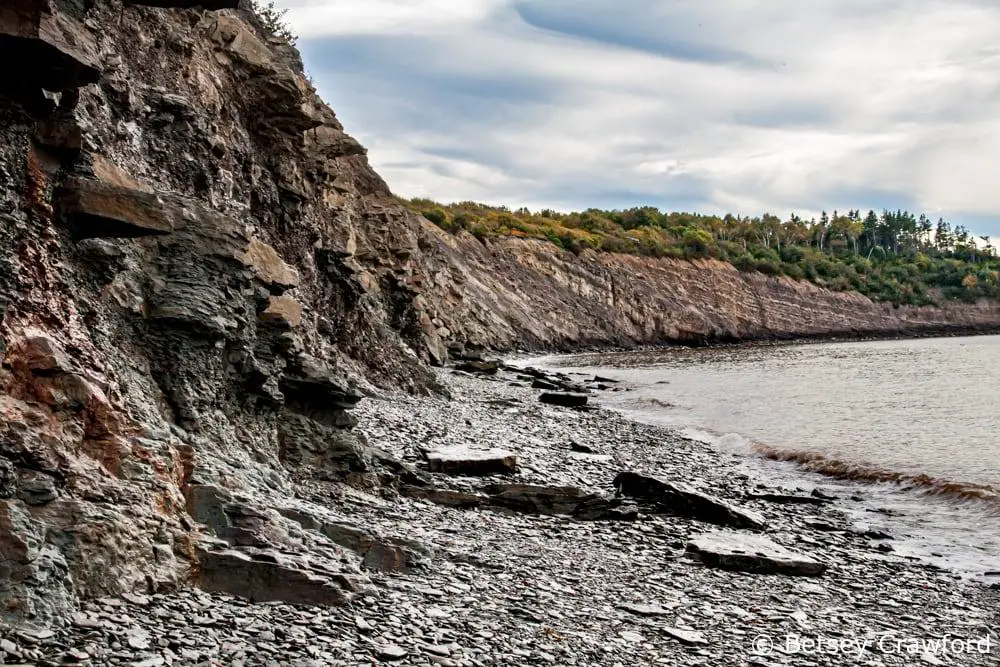 - Explore the Fossil Cliffs on the Island