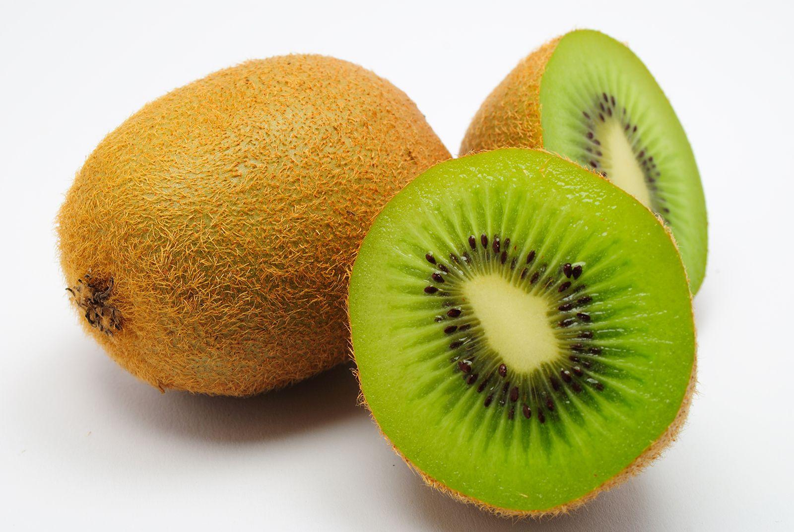 Introduction to ⁣Kiwifruit​ Summer Camp in Te Puke