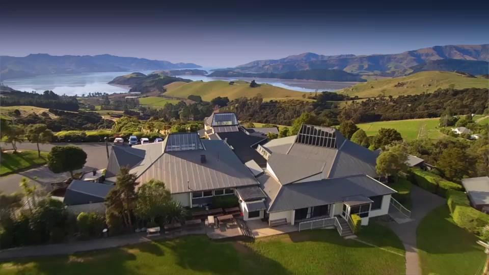 1. An Overview of Living Springs Summer ​Camp in Lyttelton