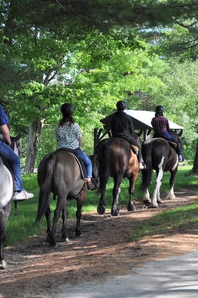 Heading 1: ⁤The Perfect Setting for Horseback Riding Enthusiasts