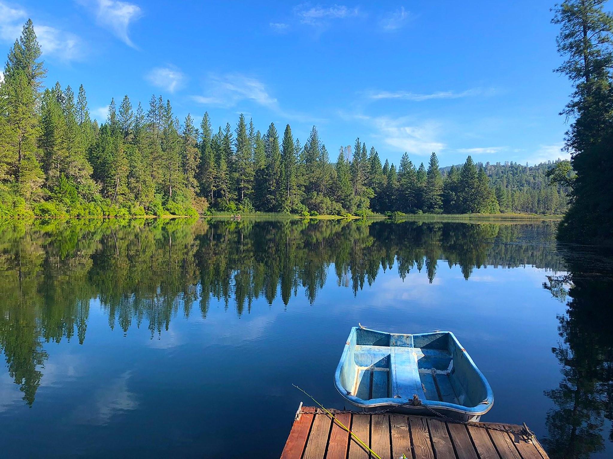 Overview of ⁤Forest Lakes Summer Camp in Otaki